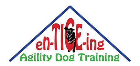 dog training, agility, agility training, dog agility training, enticeing agility, puppy training